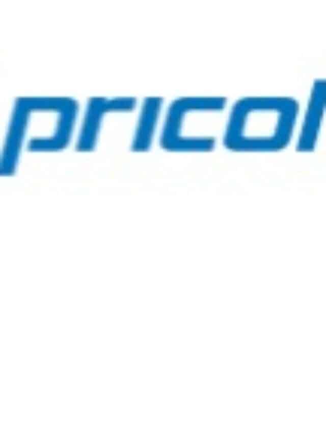 Top Automotive Technology Company: Pricol Ltd पर आया 30% ऊंचा टार्गेट